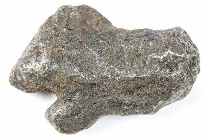 Gebel Kamil Iron Meteorite ( g) - Egypt #265402